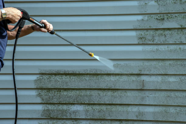 Best Sidewalk Pressure Washing  in St Anthony, MN