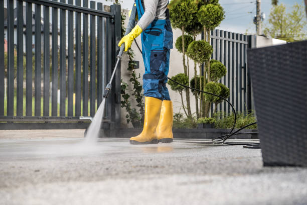 Best Roof Pressure Washing  in St Anthony, MN