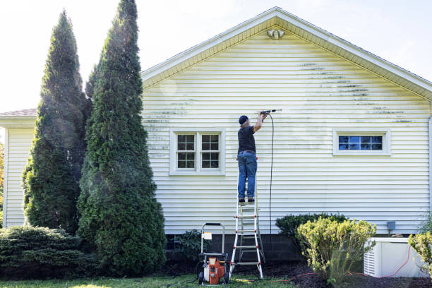 Deck Cleaning Services in St Anthony, MN