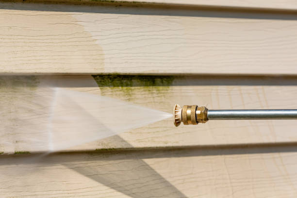 Best Pressure Washing Driveway  in St Anthony, MN