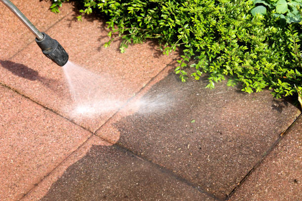 Best Residential Pressure Washing Services  in St Anthony, MN